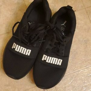 Pumas